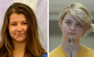 What Did Denali Brehmer Do? Who is Denali Brehmer? Legal Proceedings and Sentencing