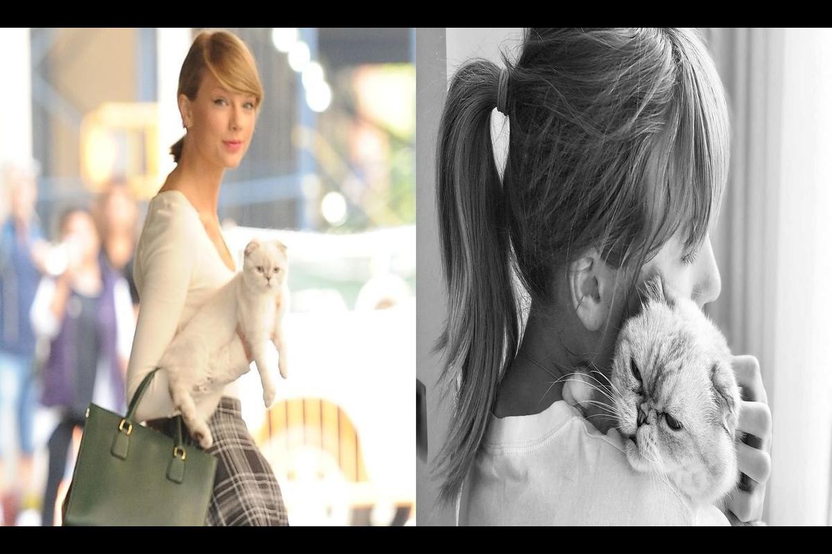 Taylor Swift and her beloved cats