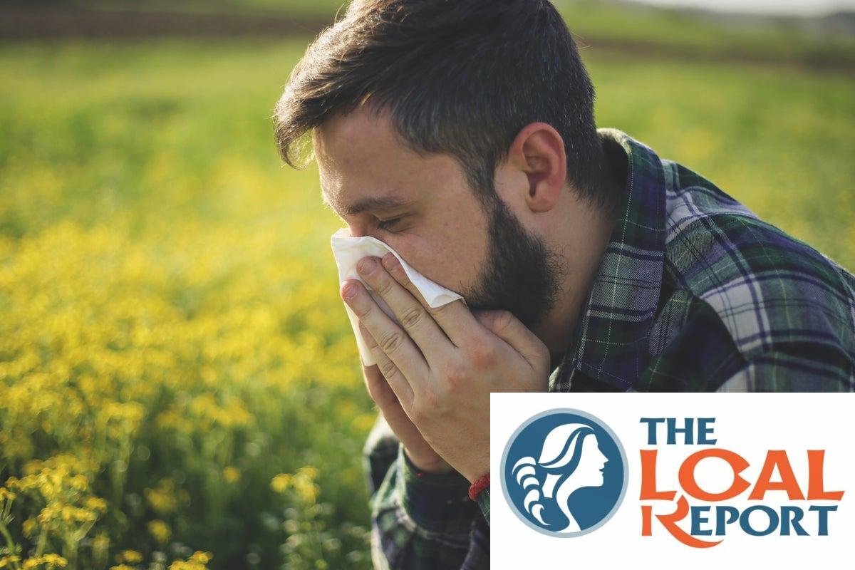 A high pollen count increases by 30 C at a temperature of the UK.