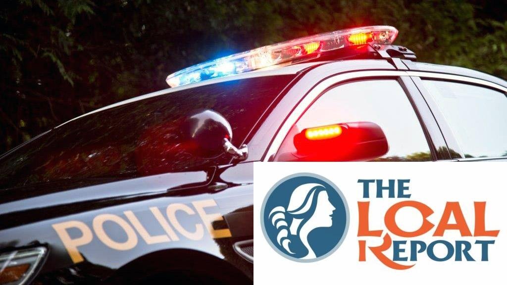 Driver died in single-vehicle accident on HWY. 401 in Mississaga
