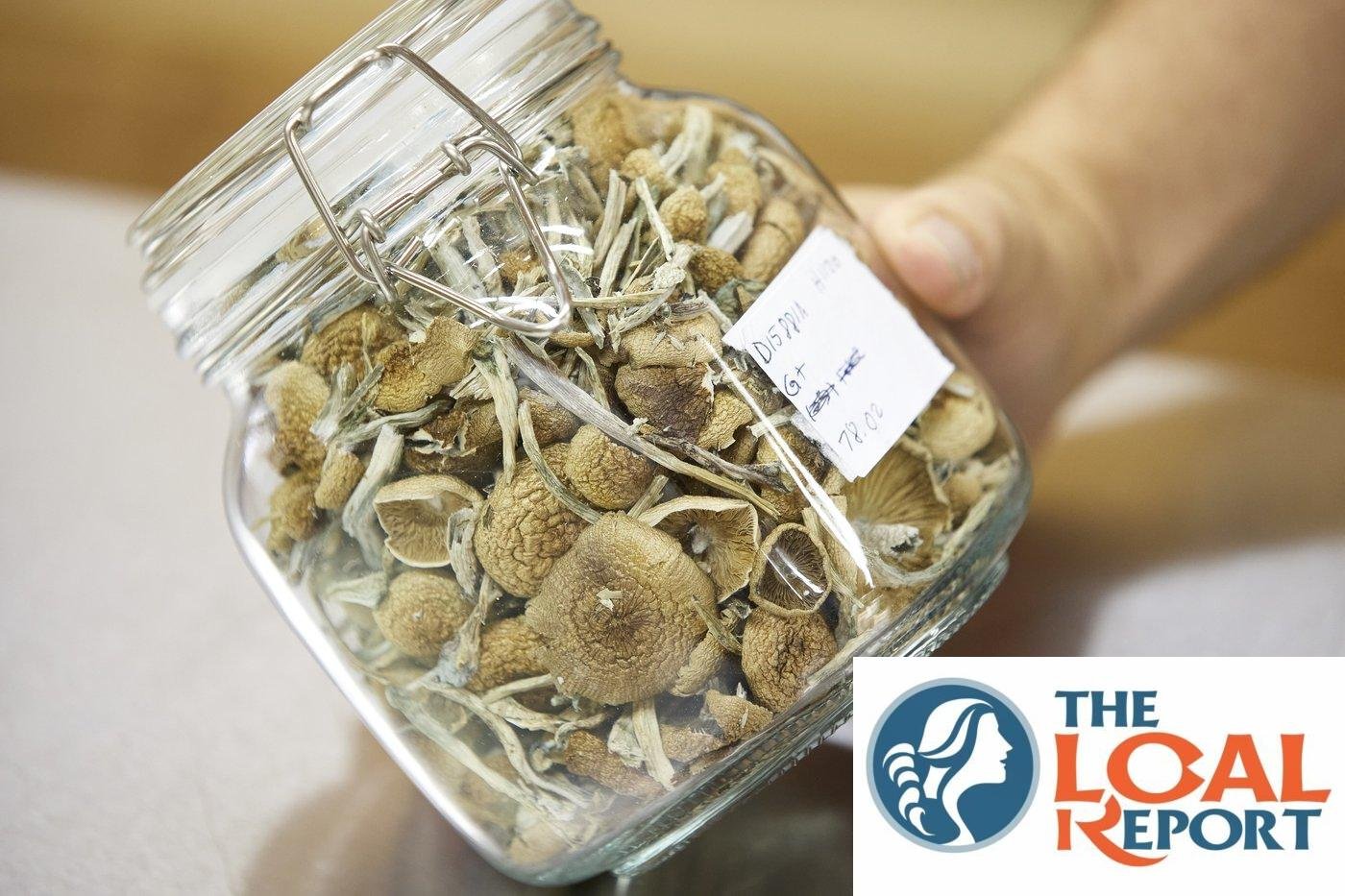 The advocacy group says that the court fight on psilocybin-aided medical is a turn