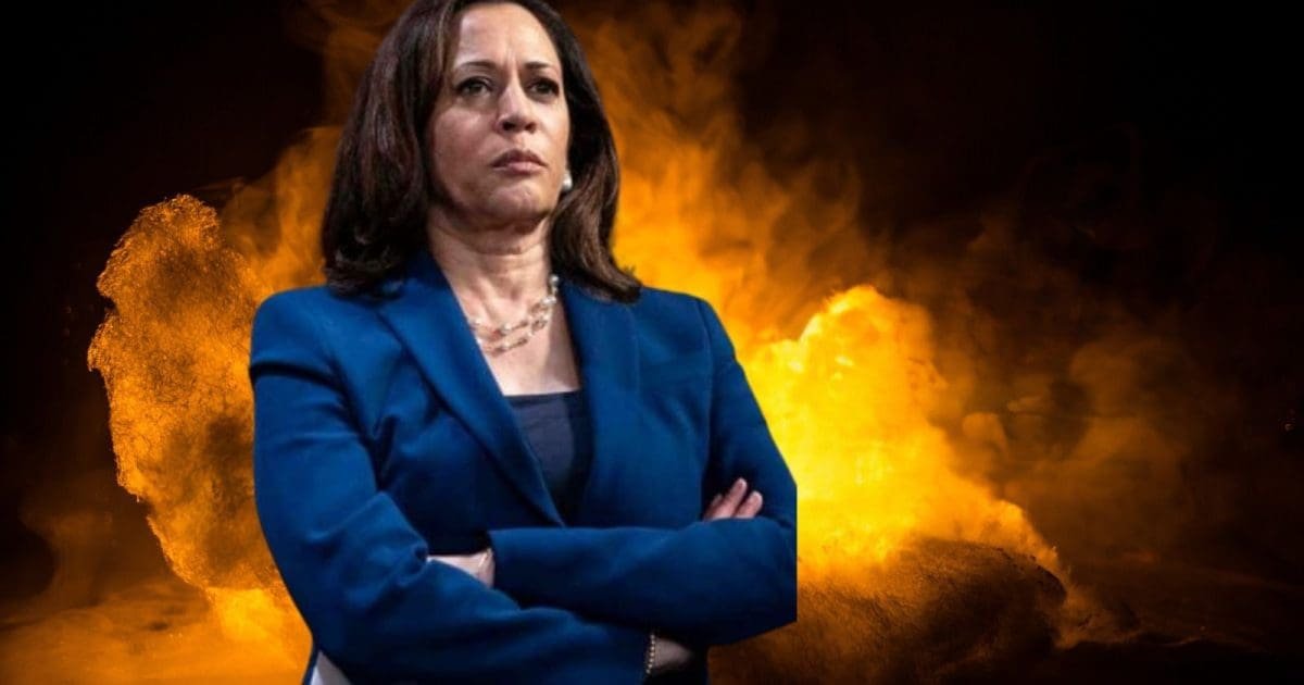 Kamala Harris takes a big step towards re -running in 2028. WLT Report
