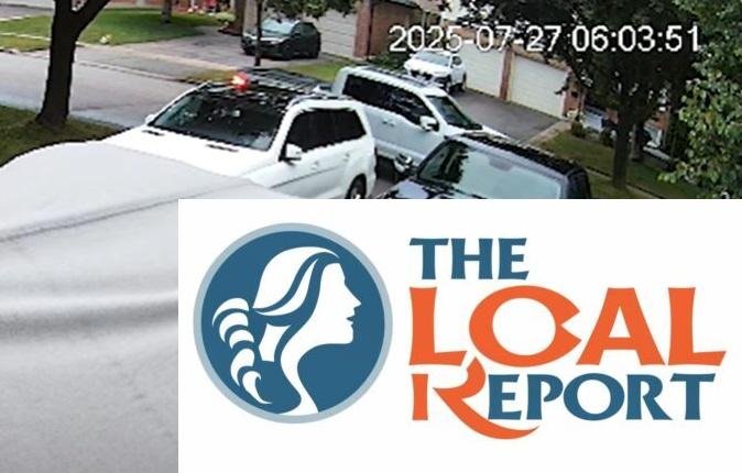 Police searched for the suspect, who shot and killed a rabbit on the Pneumarkate Front Lawn