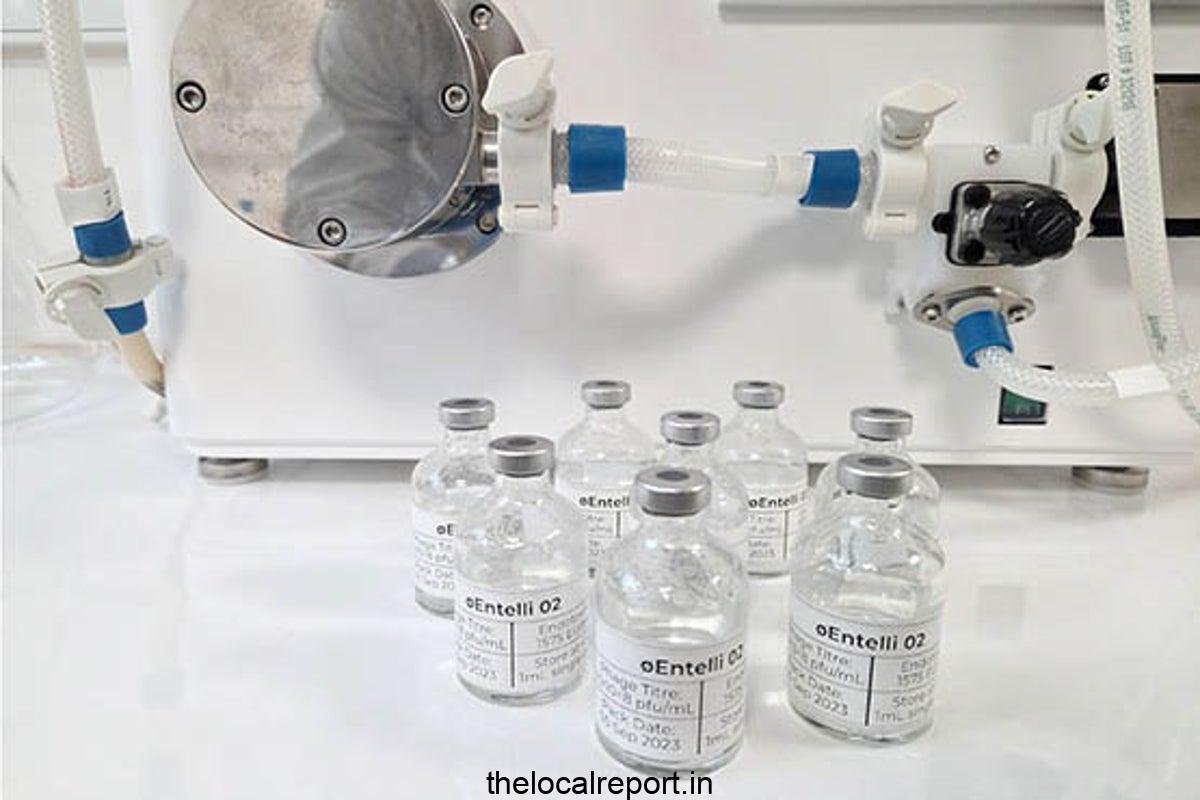 Scientists make 'virus cocktails' to fight superbugs