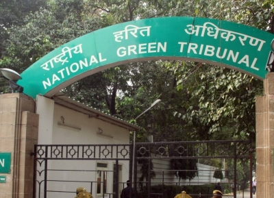 NGT Order Status Quo on Padampur bus stand project at Water Body Diversion in Odisha