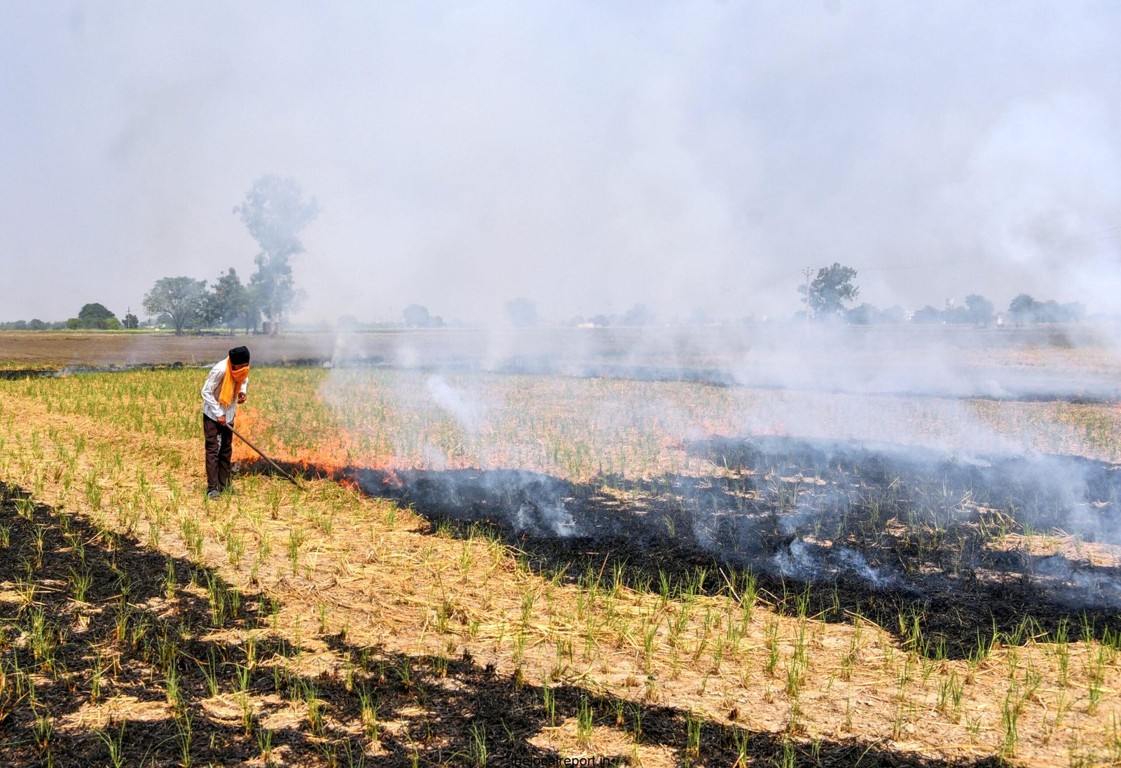 Punjab launched a campaign on sick effects of stubble burning