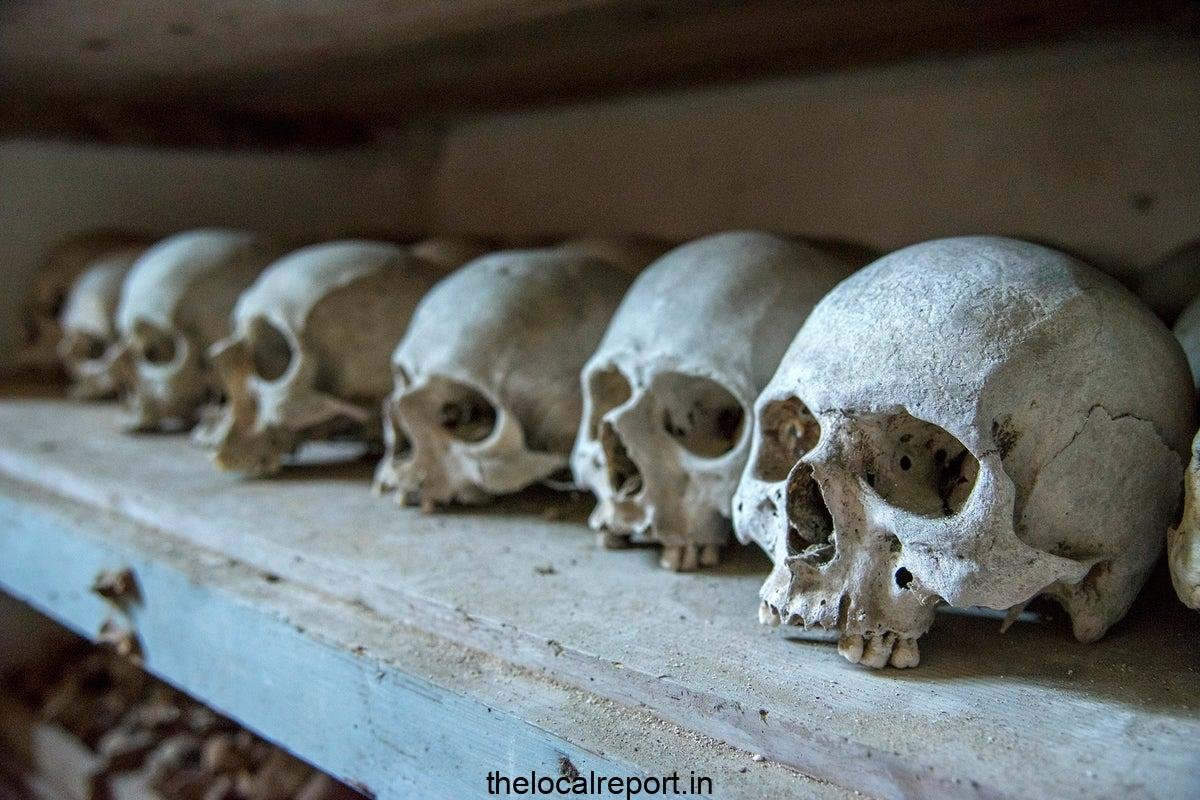 One million years old skull can tell about human development