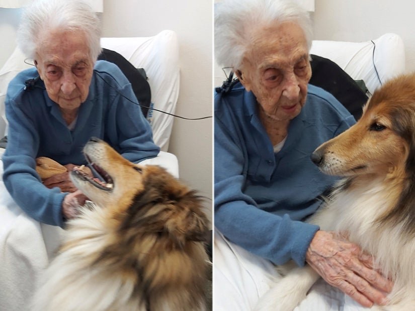 Maria Brans Morera died in Santa Maria del Tura Tura Nursing Home, Catalonia in Spain, where she has lived since 2000