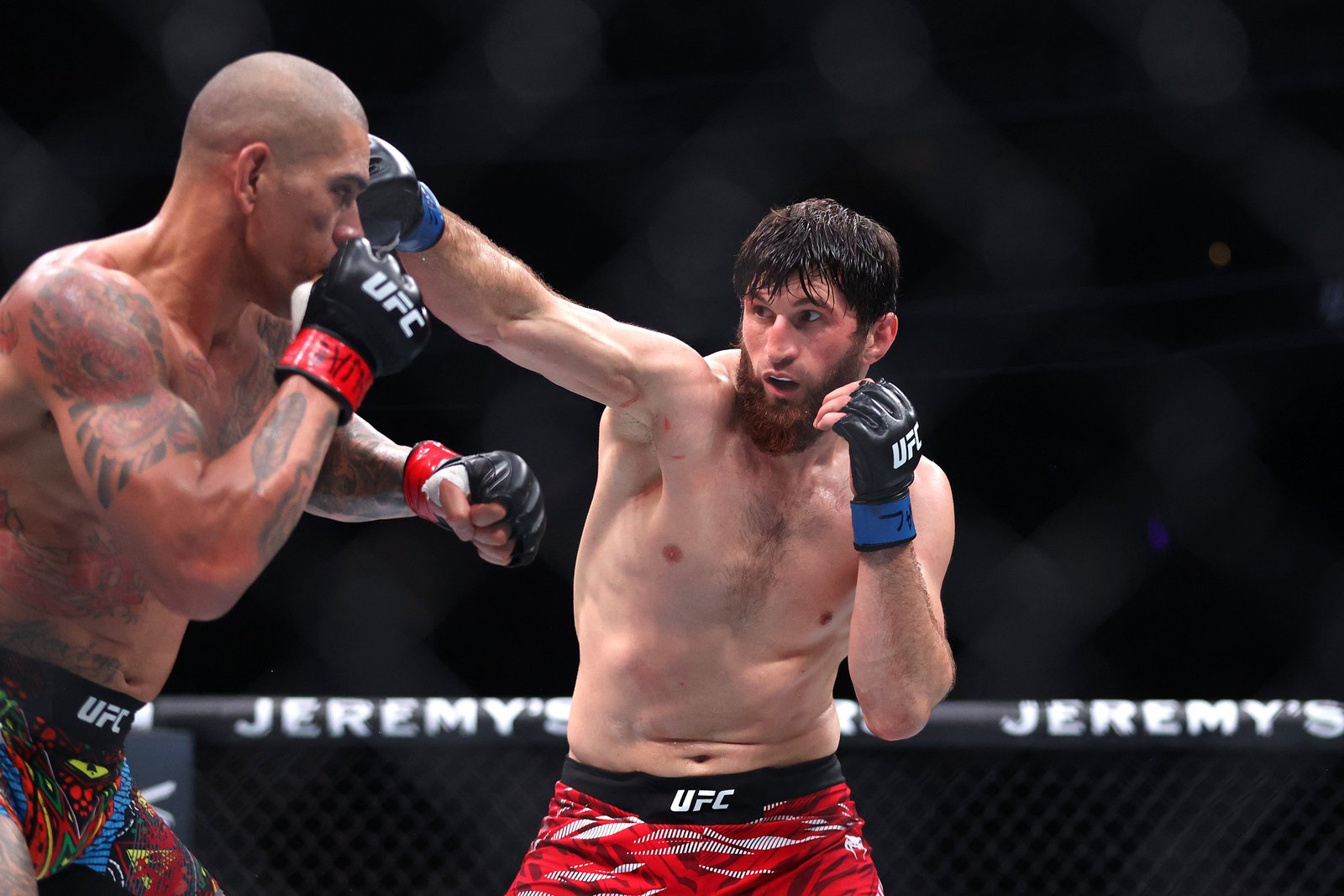 Alex Perera (late) during his defeat by Magomede Anklev in March