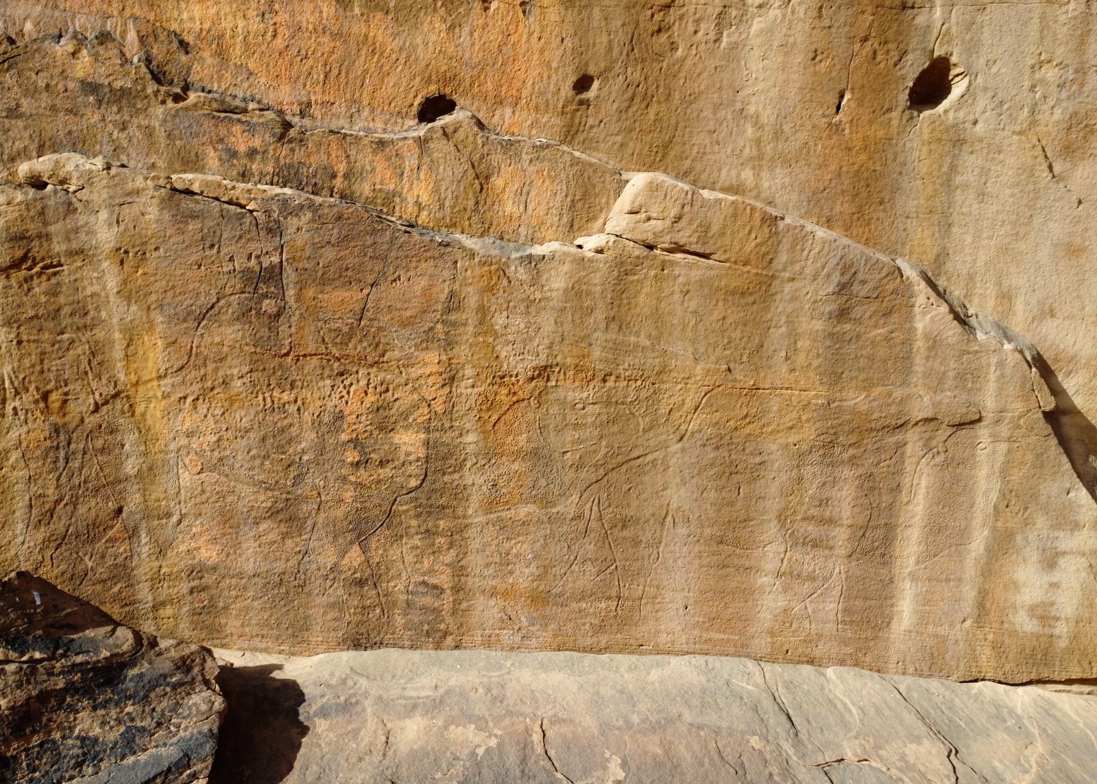 Maria Guganin, an archaeologist at the Max Planck Institute of JioNthropology in Germany, said that people have been making rock art in Saudi Arabia for thousands of years