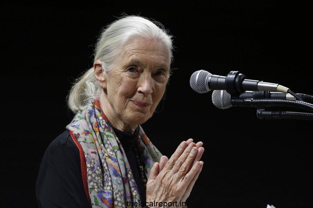 Environmentalists, politicians, celebrities recall the effects of life and primatologist Jane Goodol