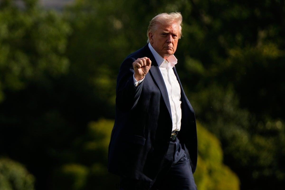 Federal Appeal Court Rules Trump Administration cannot abolish congenital citizenship