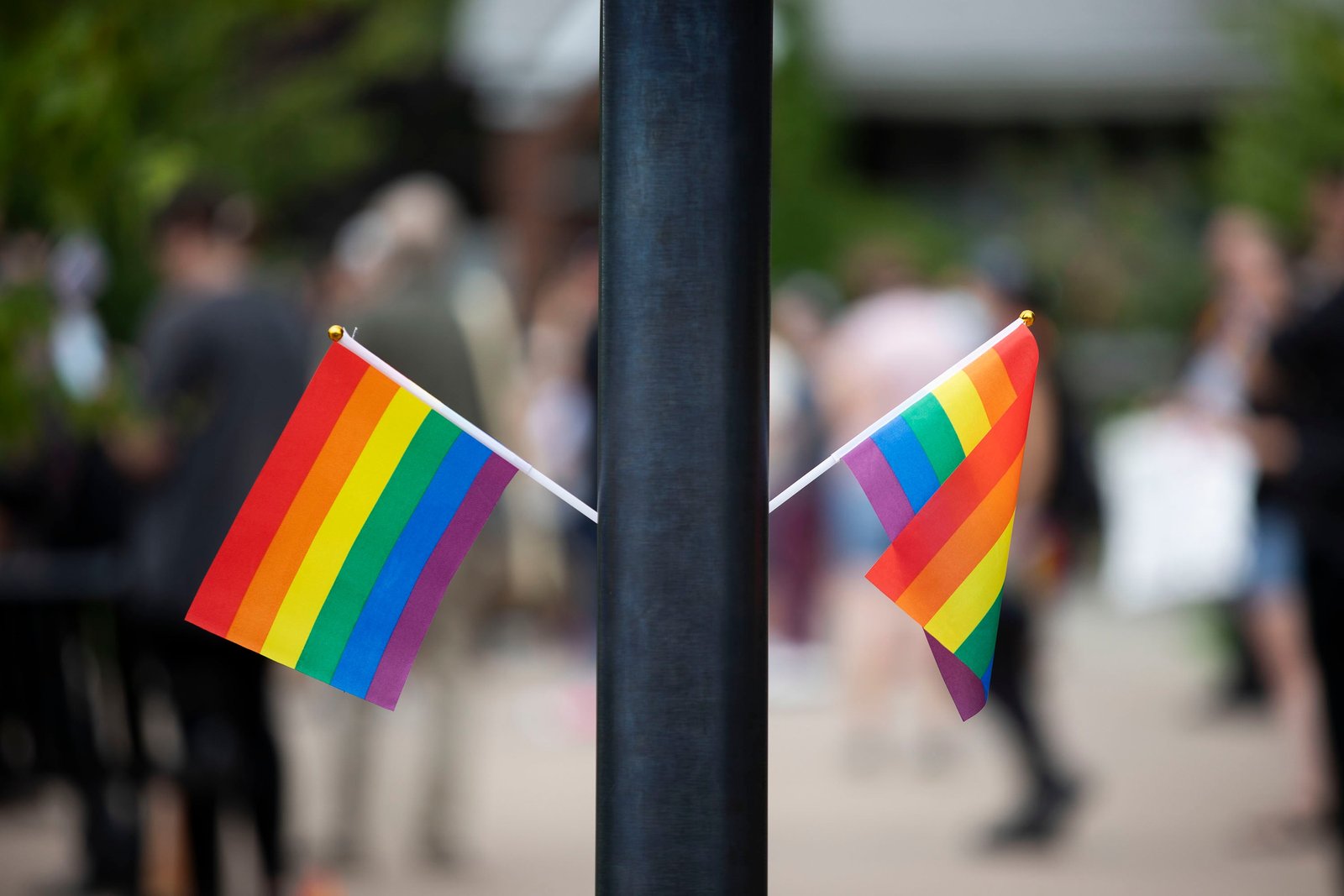 According to reports, the agent in training, who displayed a gay gaurav flag (not a picture) at his desk, was fired and was accused of displaying an inappropriate 'political' message in the workplace.