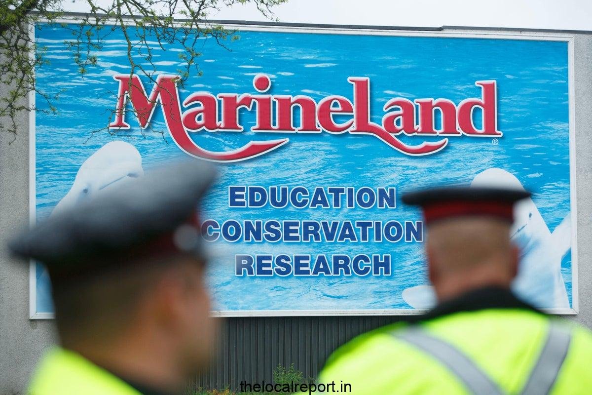 Marineland Canadian asks the government for emergency cash to feed whales - or euthanasia adjacent