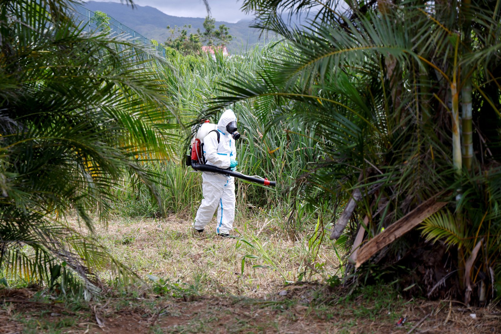 Chikungunya virus was first recognized in 1952 during an outbreak in Tanzania.