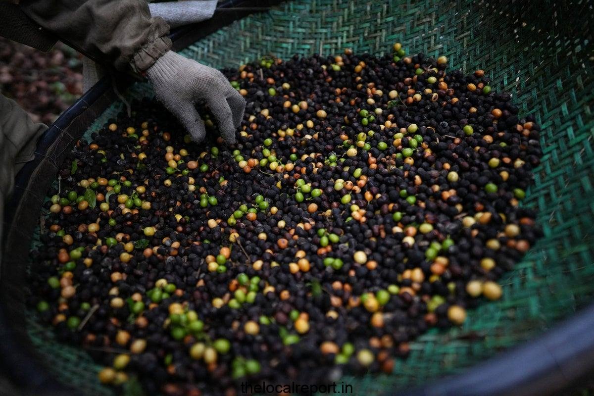 Why a coffee brand made of defecate beans has dodged Trump's tariff