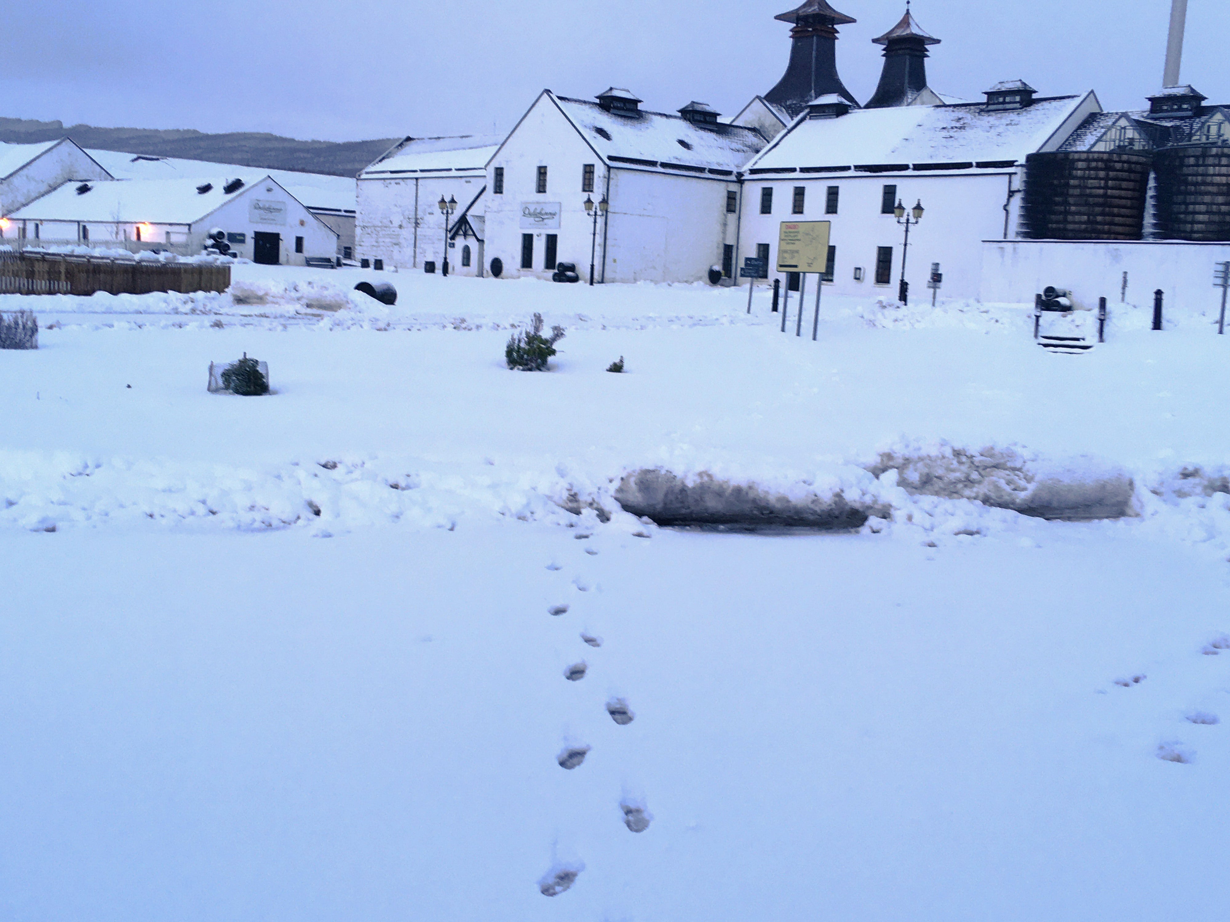 Heavy snowfall hits Dalwhinney Distillery in Cairngorms National Park in the heart of the Highlands