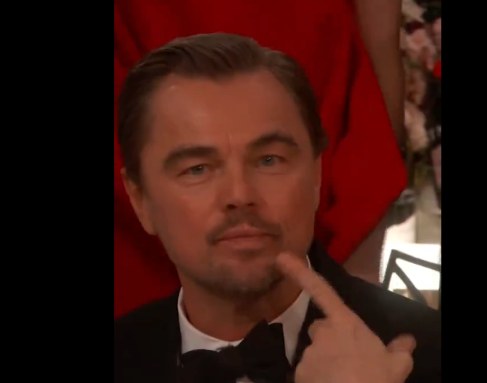In the viral video, DiCaprio pouted playfully and flipped his hair.