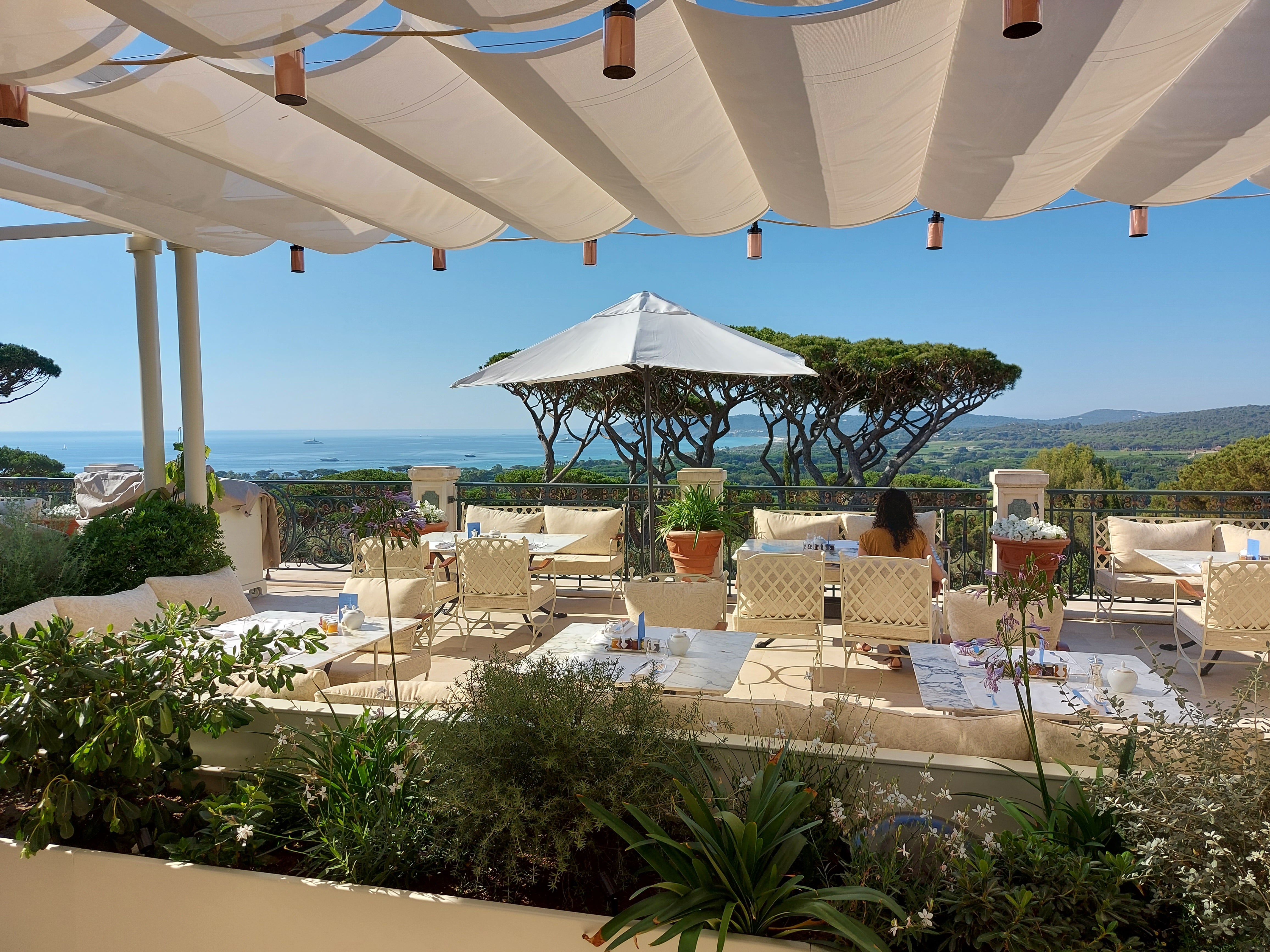 Ted predicts that many viewers will watch 