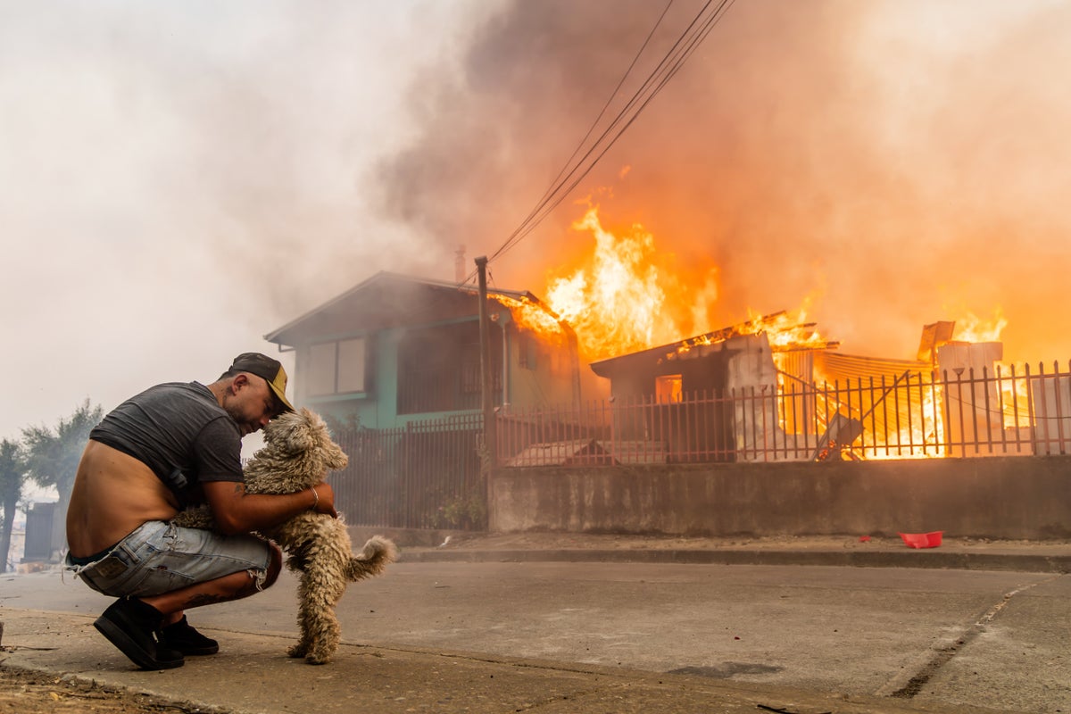 At least 19 people killed in Chilean wildfires, government declares "state of disaster"