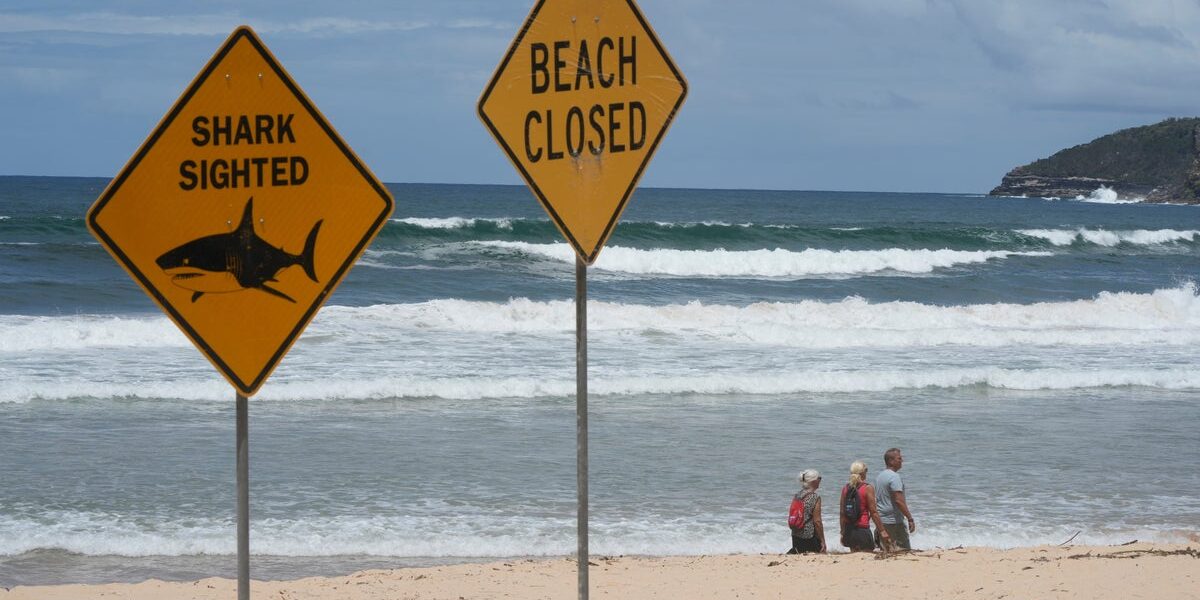 Australia closes dozens of beaches after fourth shark attack in 48 hours