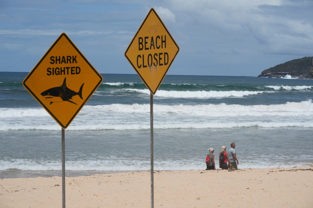 Australia closes dozens of beaches after fourth shark attack in 48 hours