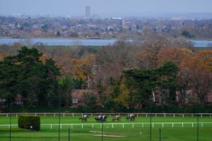 Best bets and odds for Saturday's match at Sandown Park