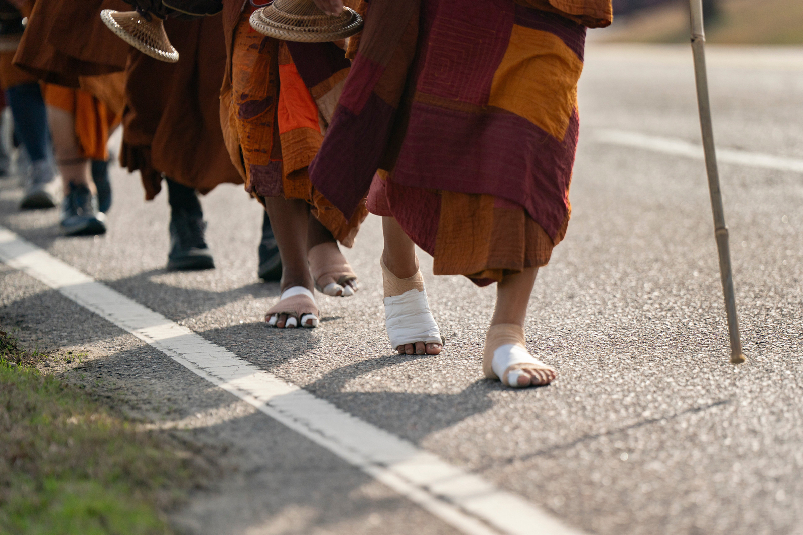 Bhikkhu Pannakara leads other Buddhist monks 