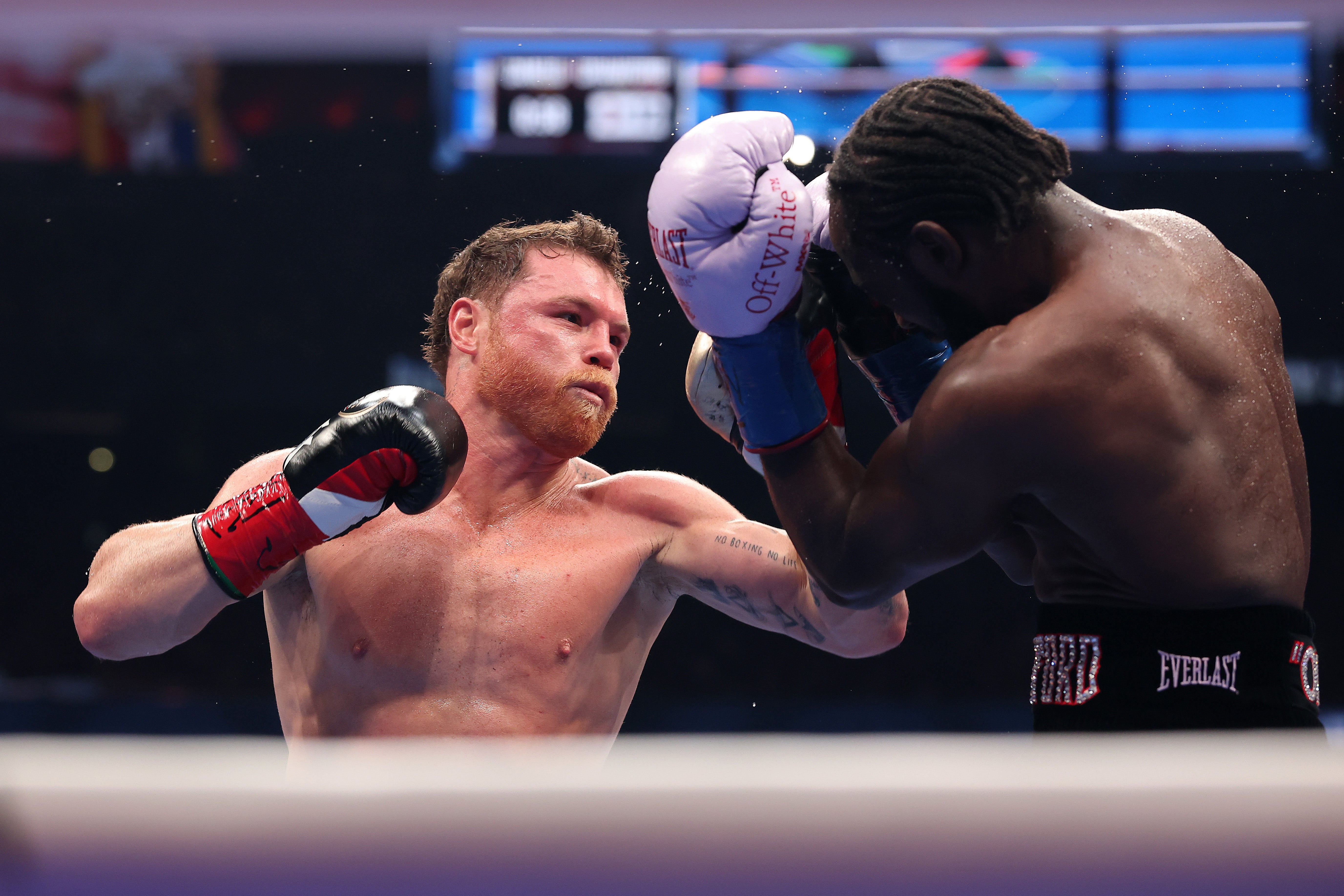 Canelo Alvarez hasn't fought since being defeated by Terrence Crawford