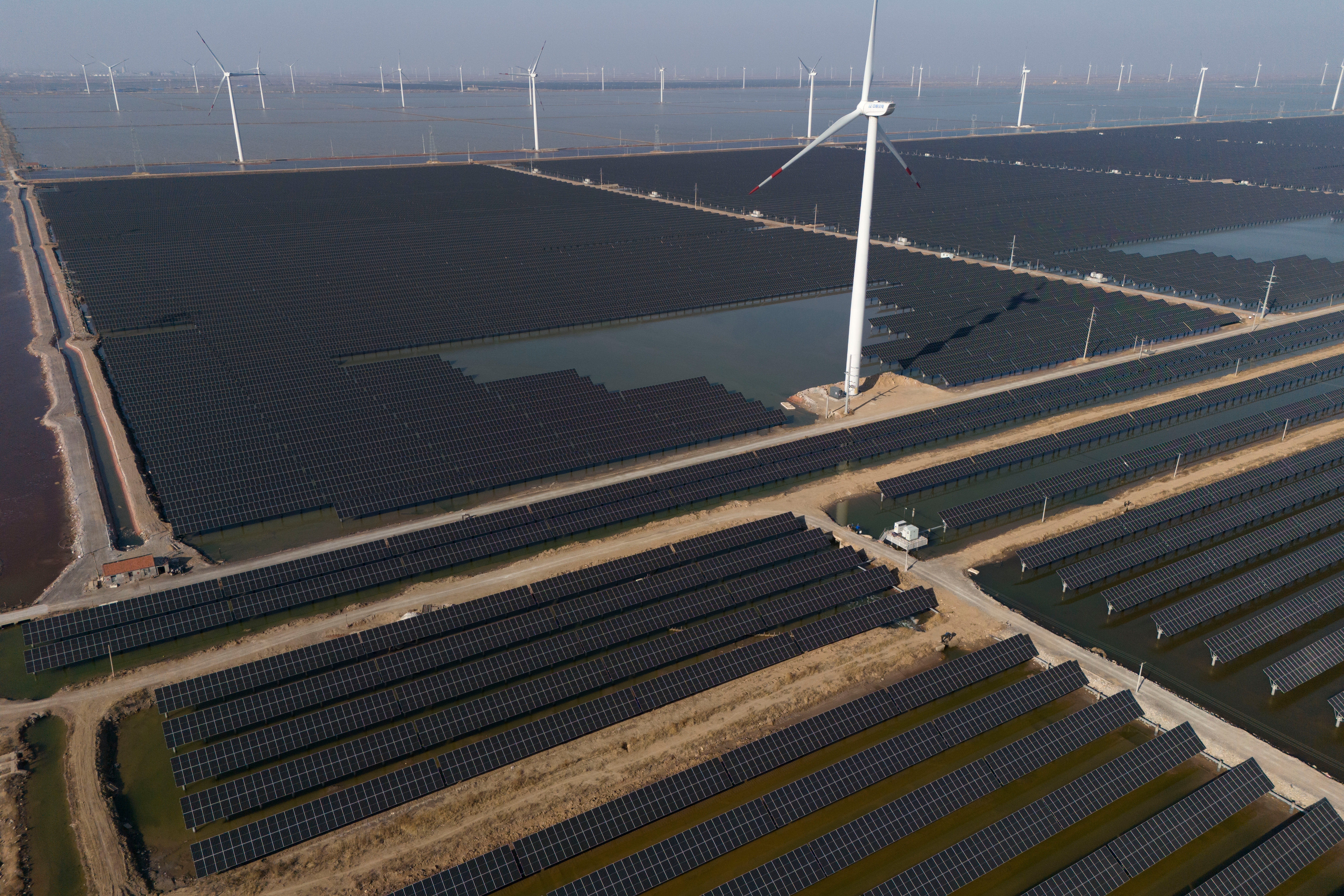 Wind turbines dot the coastline of a giant solar farm near Weifang in eastern China's Shandong province