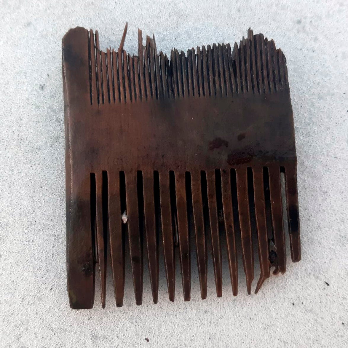 Comb found in shipwreck