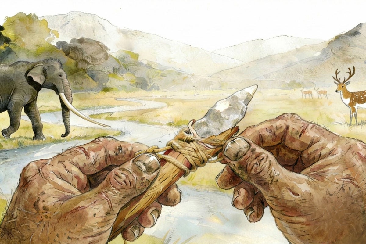 Complex prehistoric tools discovered in China rewrite story of human evolution