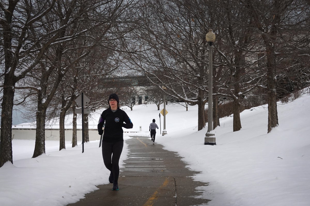 Do trees really explode when the weather gets cold?