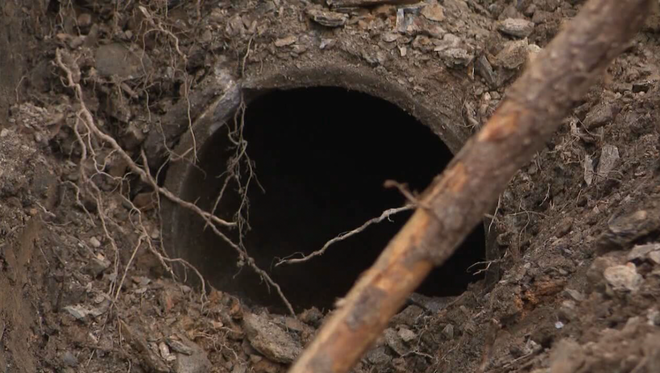 Abby's remains were found in a drainage pipe at Charlamont Park, just feet from where her car was found