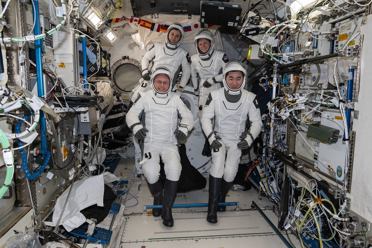 Four astronauts return to Earth early in NASA's first medical evacuation