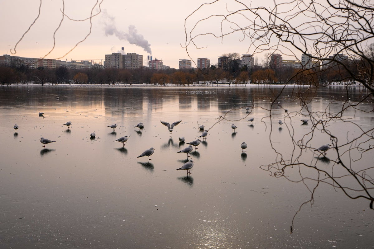 Freezing rain, ice disturbance disrupts travel in Central and Eastern Europe