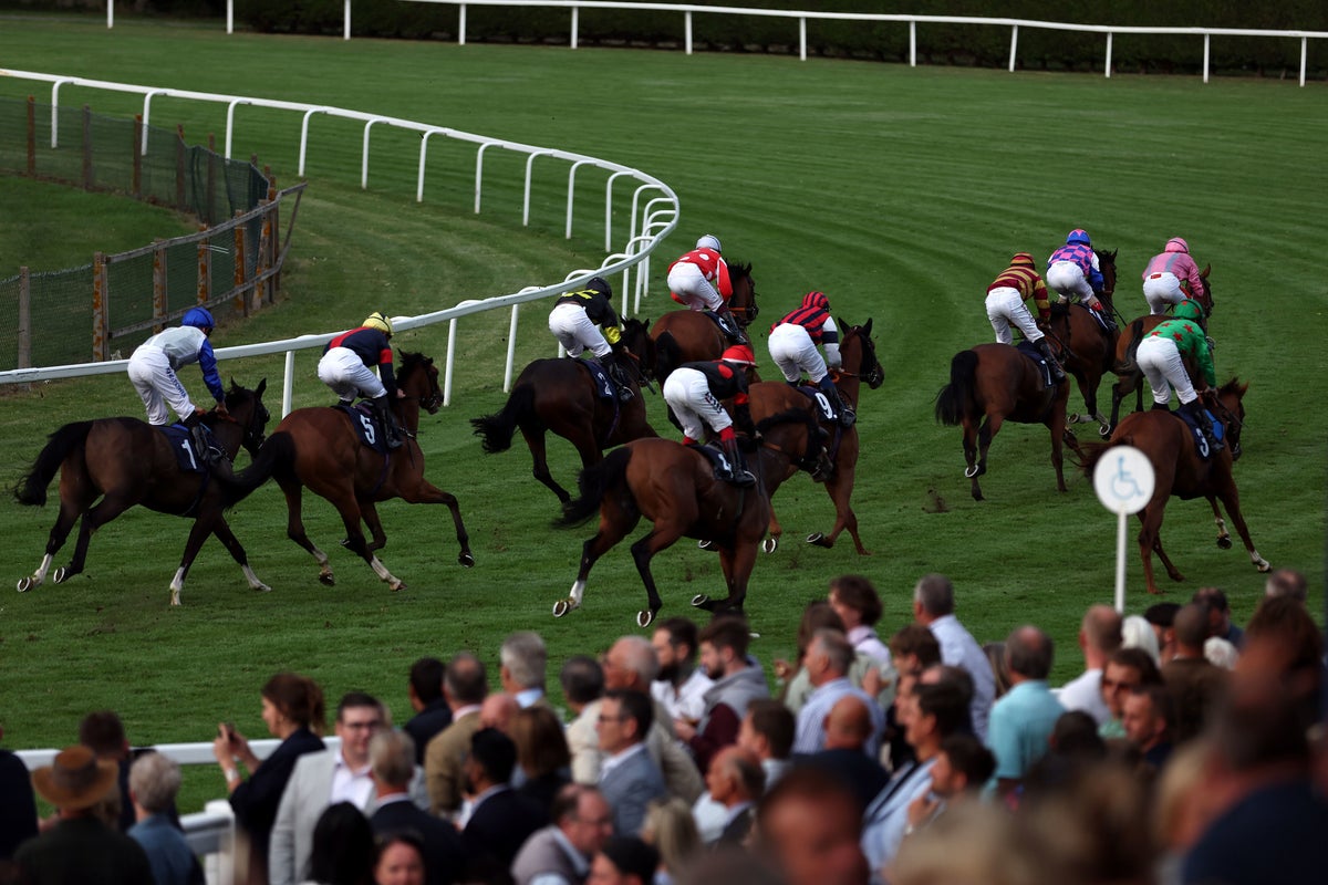 Friday Racing Tips: Windsor and Markit Rayson's Top Picks
