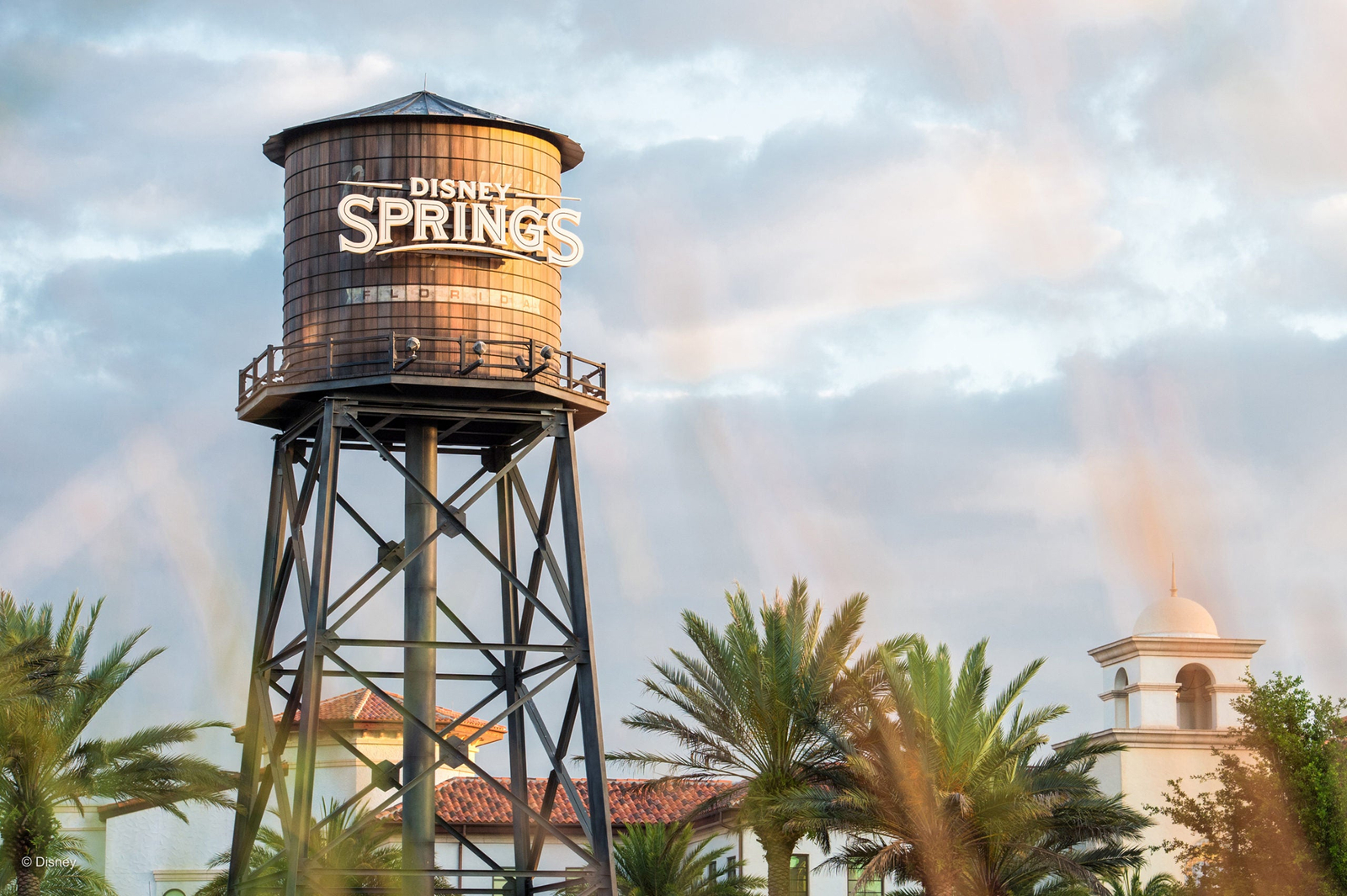 The fatal incident occurred at a restaurant inside Disney Springs, a vast shopping, entertainment and dining district at Walt Disney World in Orland, Florida