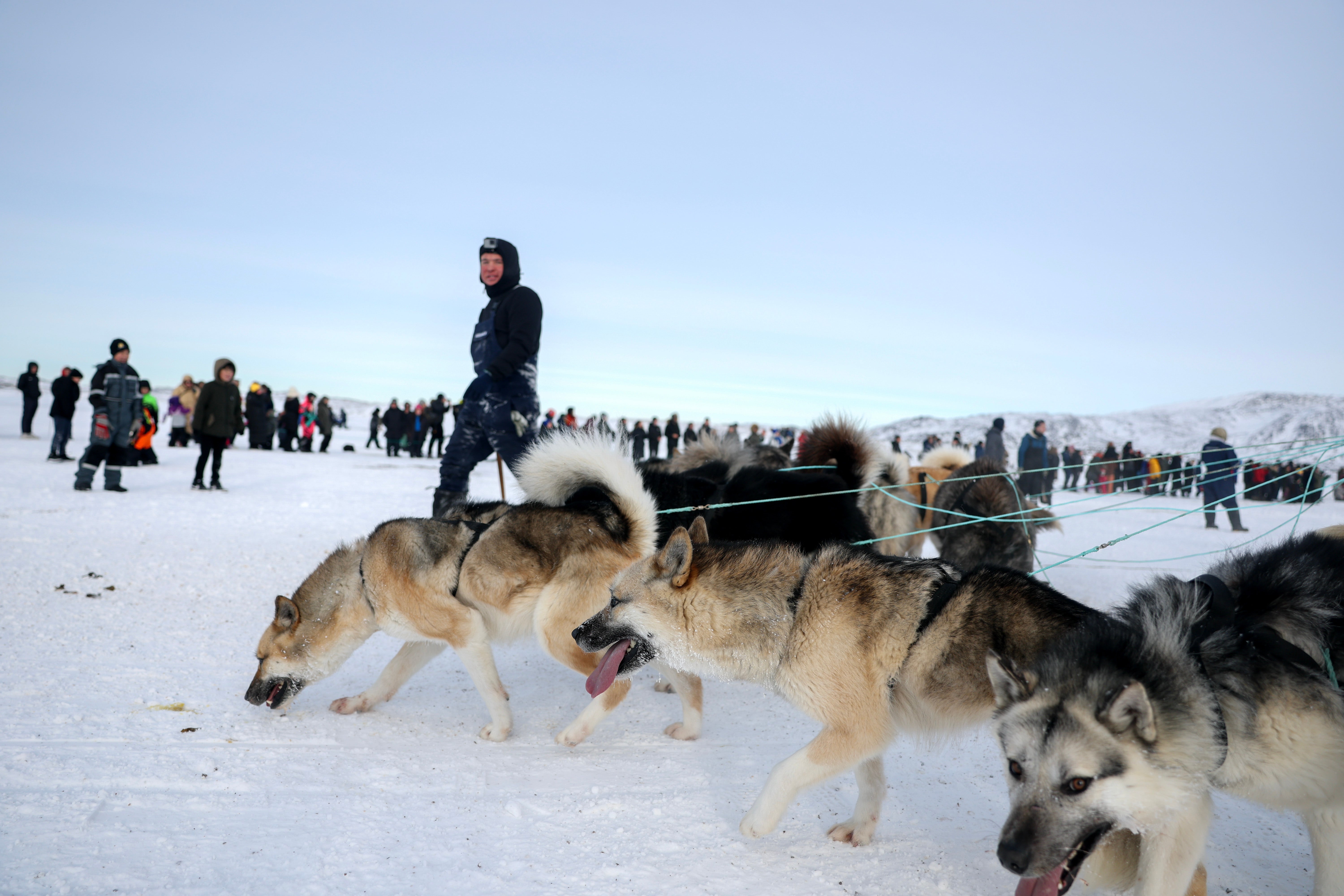 Although the location and distance change from year to year, the race is always held in western Greenland, above the Arctic Circle. Strict rules mean only Greenland dogs can compete, as other breeds are restricted from entering the country north of the ring
