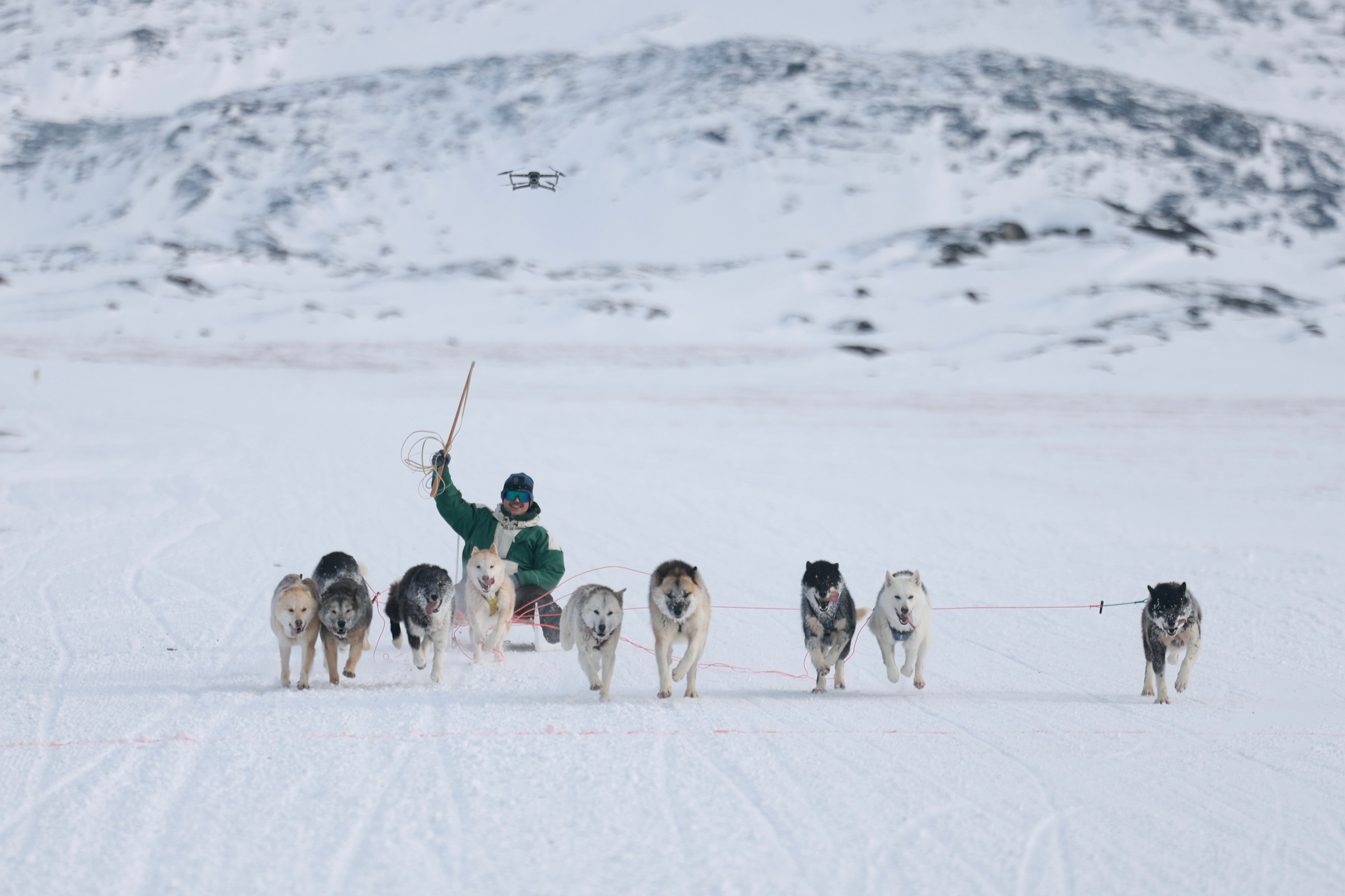 Organizers of Greenland's annual national dog sledding race have questioned who invited Donald Trump's US envoy to the event, saying the invitation was 