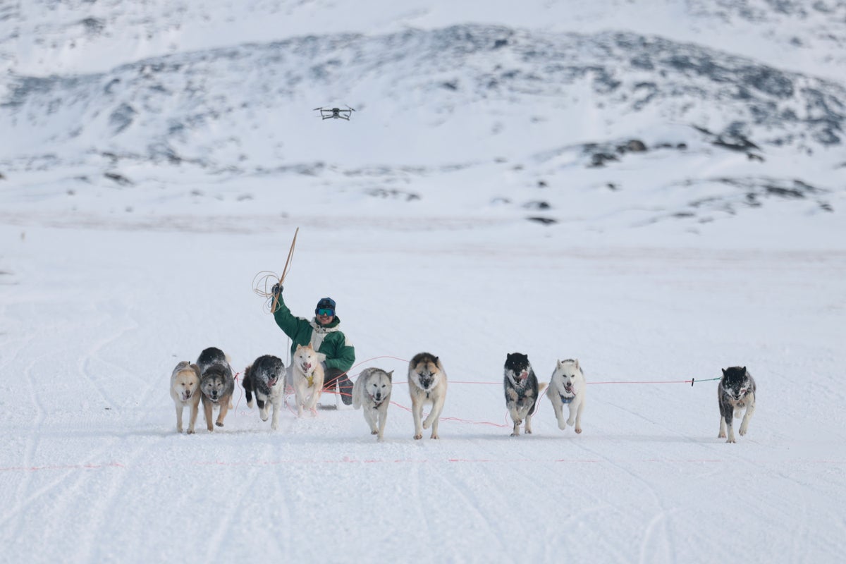 Greenland dog sledding race raises questions about who invited Trump envoy to event