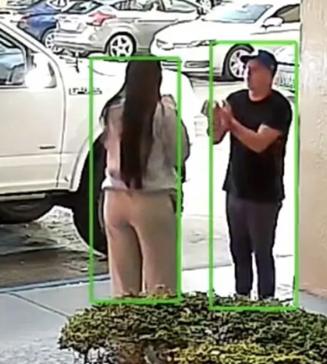 Police seek public help after surveillance video captures a woman's possible abduction on New Year's Eve