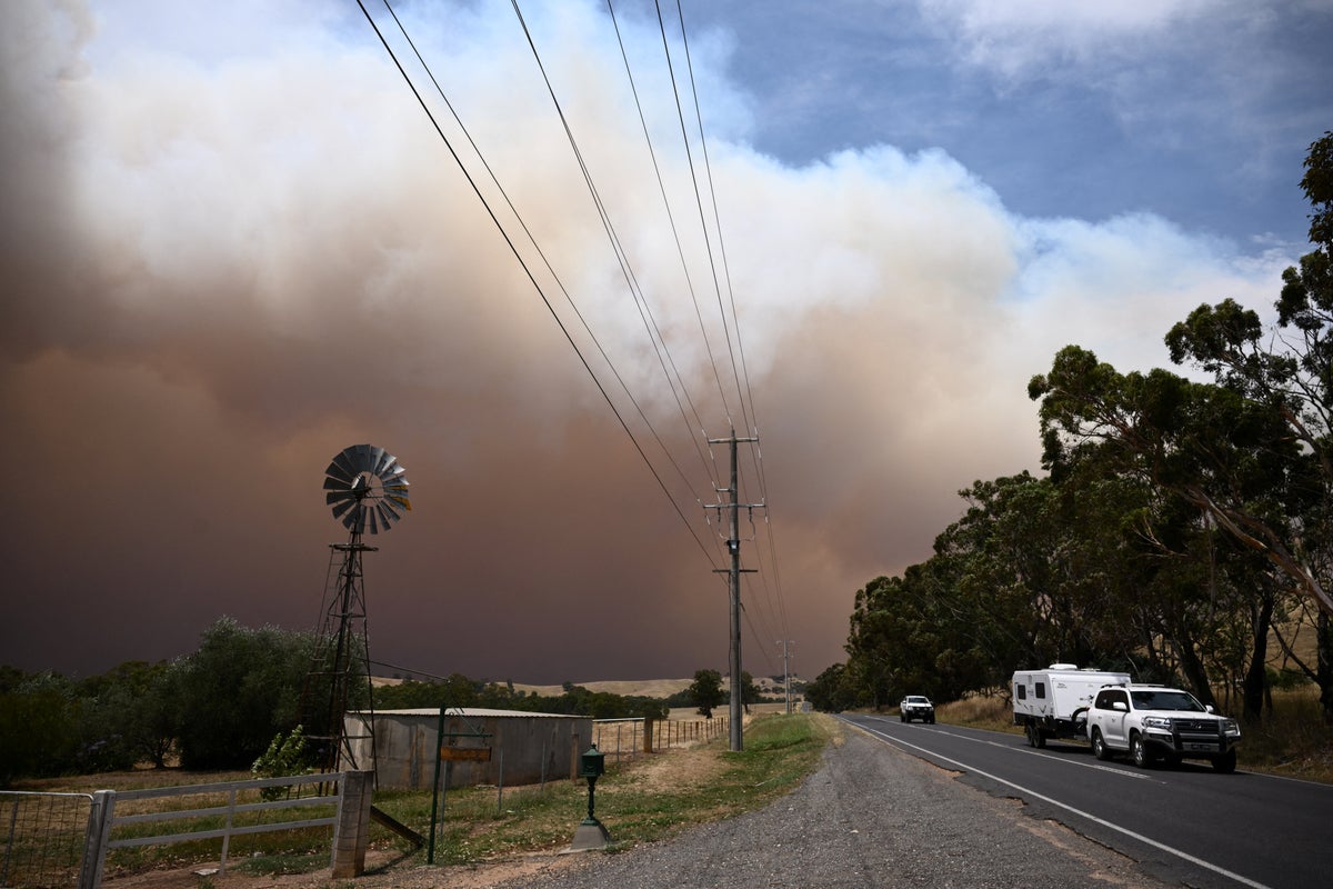 Human remains found as bushfires continue to ravage Australia
