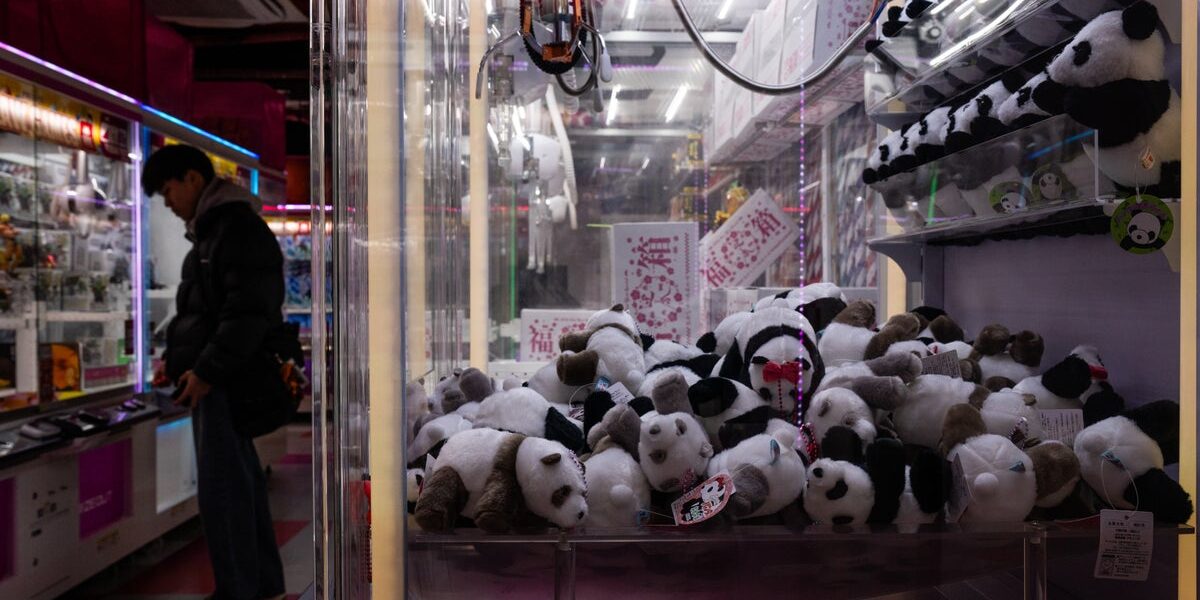 Japan's last two giant pandas to head to China amid tensions