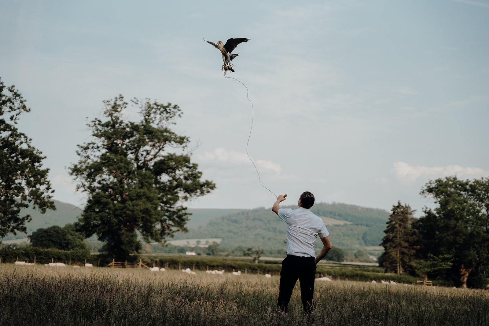 Angies' love for falconry continues throughout the film. Follow her footsteps at Wye Valley Falconry