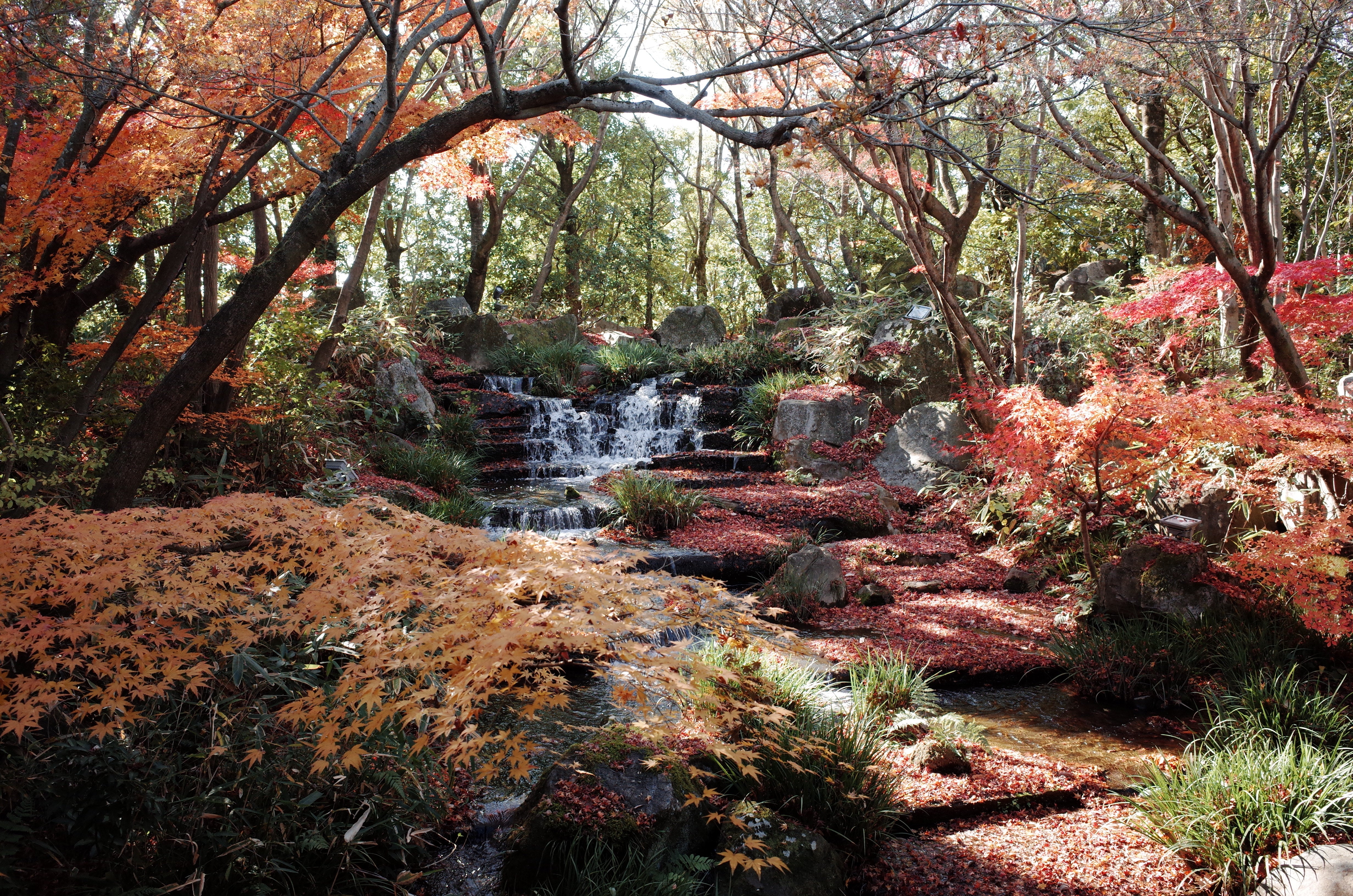 Kokoen Garden next to Himeji Castle looks spectacular in autumn