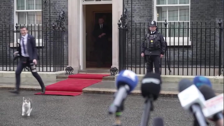 Larry the cat causes chaos during Polish president's visit to Downing Street