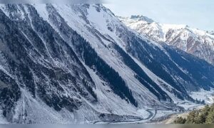 New Year tourists are disappointed due to lack of snowfall at major hill stations of Himachal.