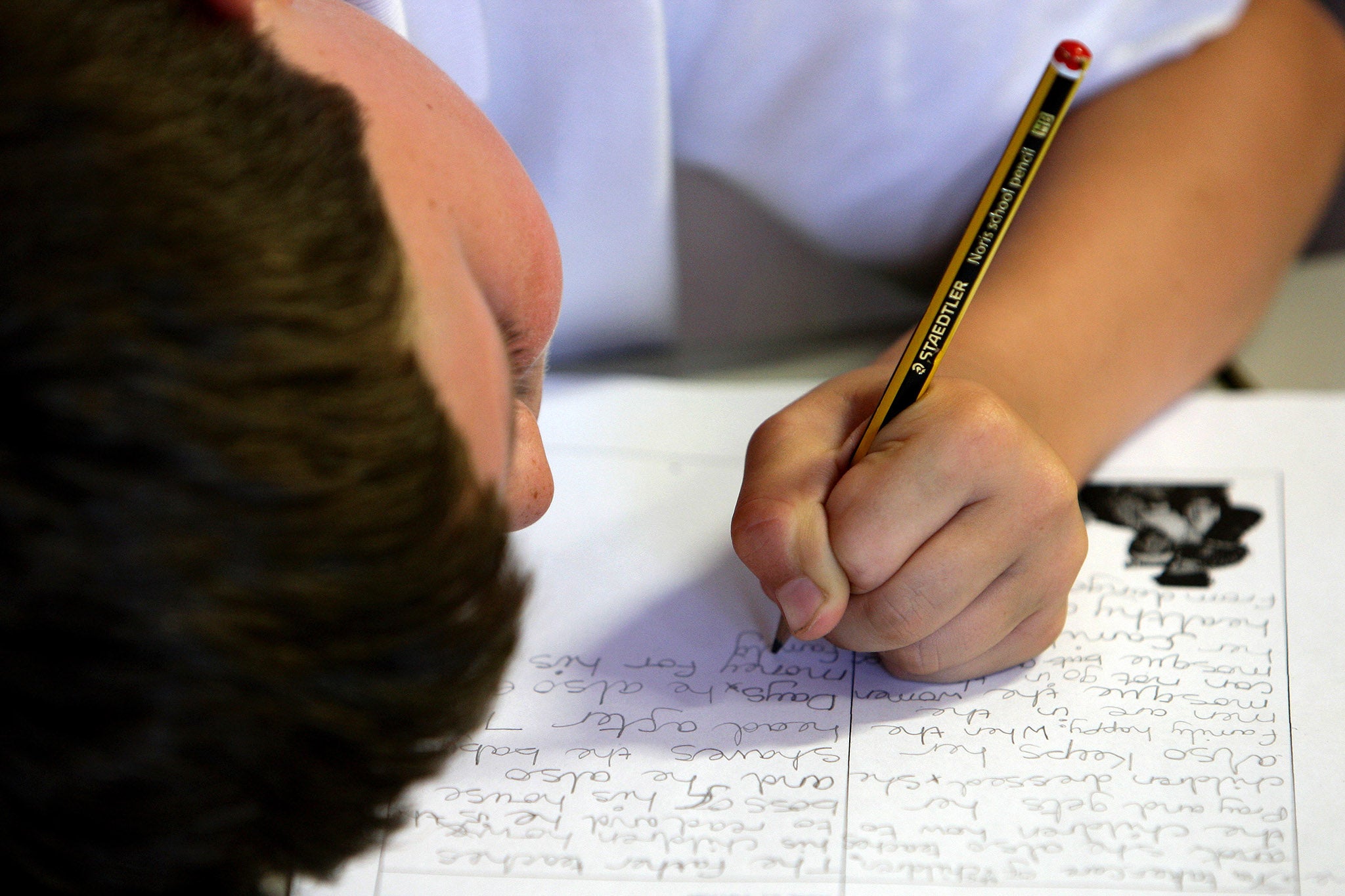 DLD support should include all languages for children