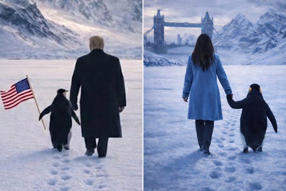 Reform mayoral candidate replicates Trump's controversial Greenland penguin image